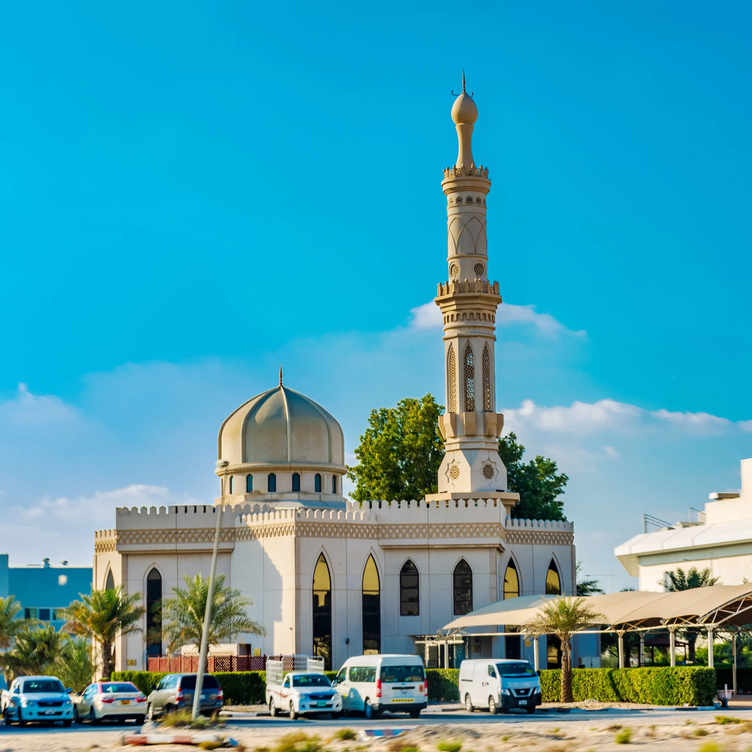 Saudia Visitor Background